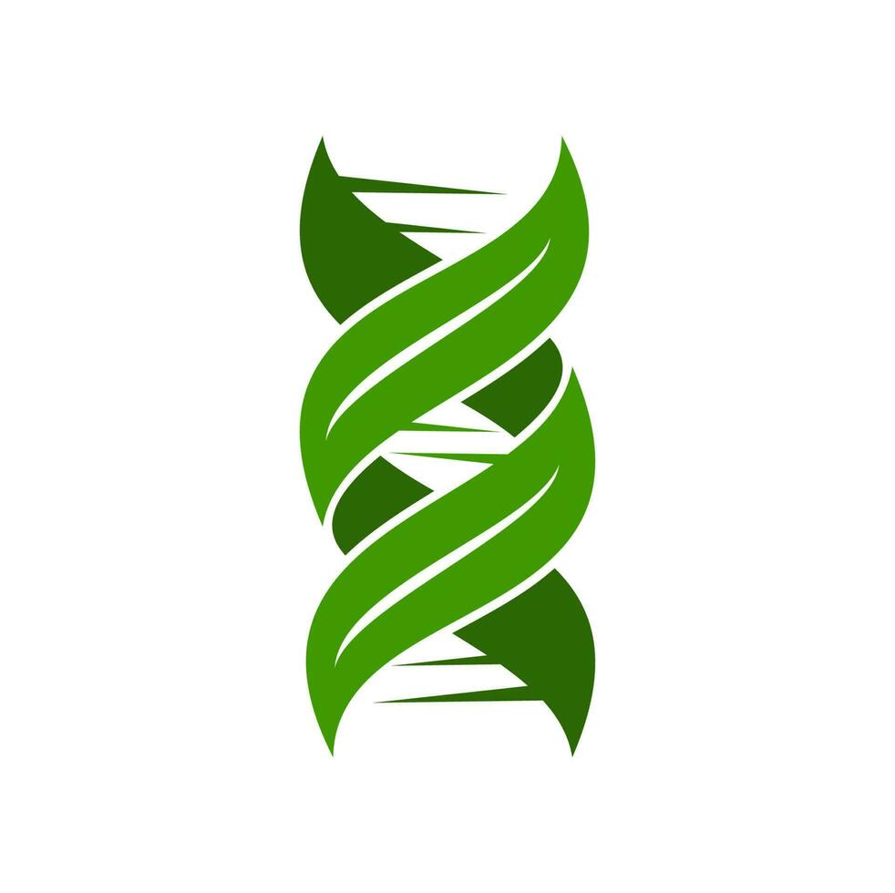 Leaf DNA icon, plant symbol with green gene helix vector