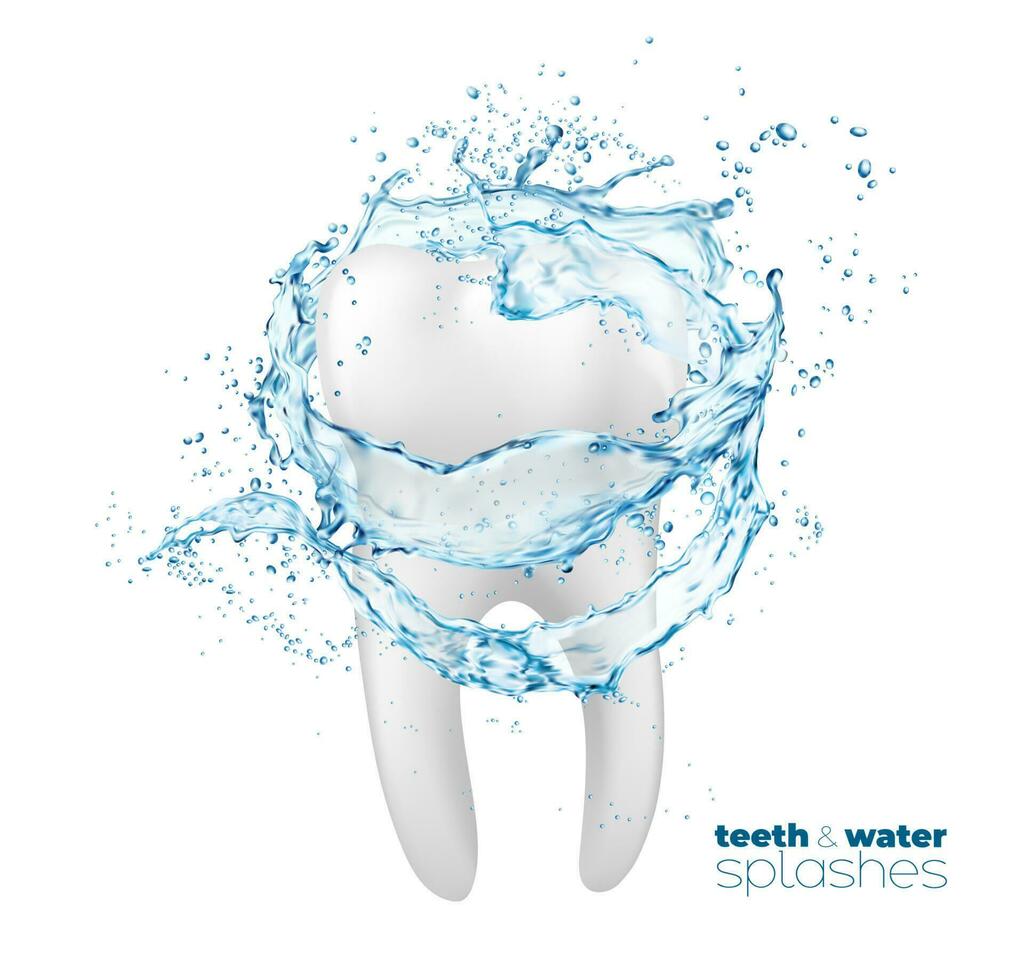 dientes y limpiar agua fluir chapoteo, boca enjuague vector