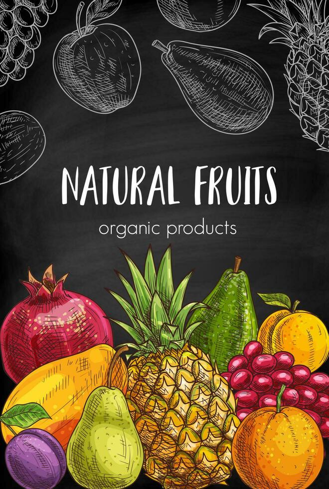 Fruits sketch chalkboard sketch vector banner