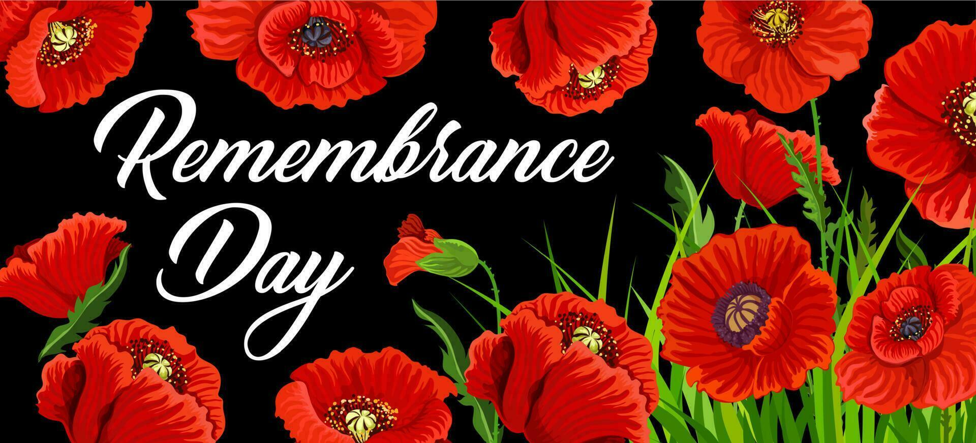 Remembrance Day poster with poppies vector card