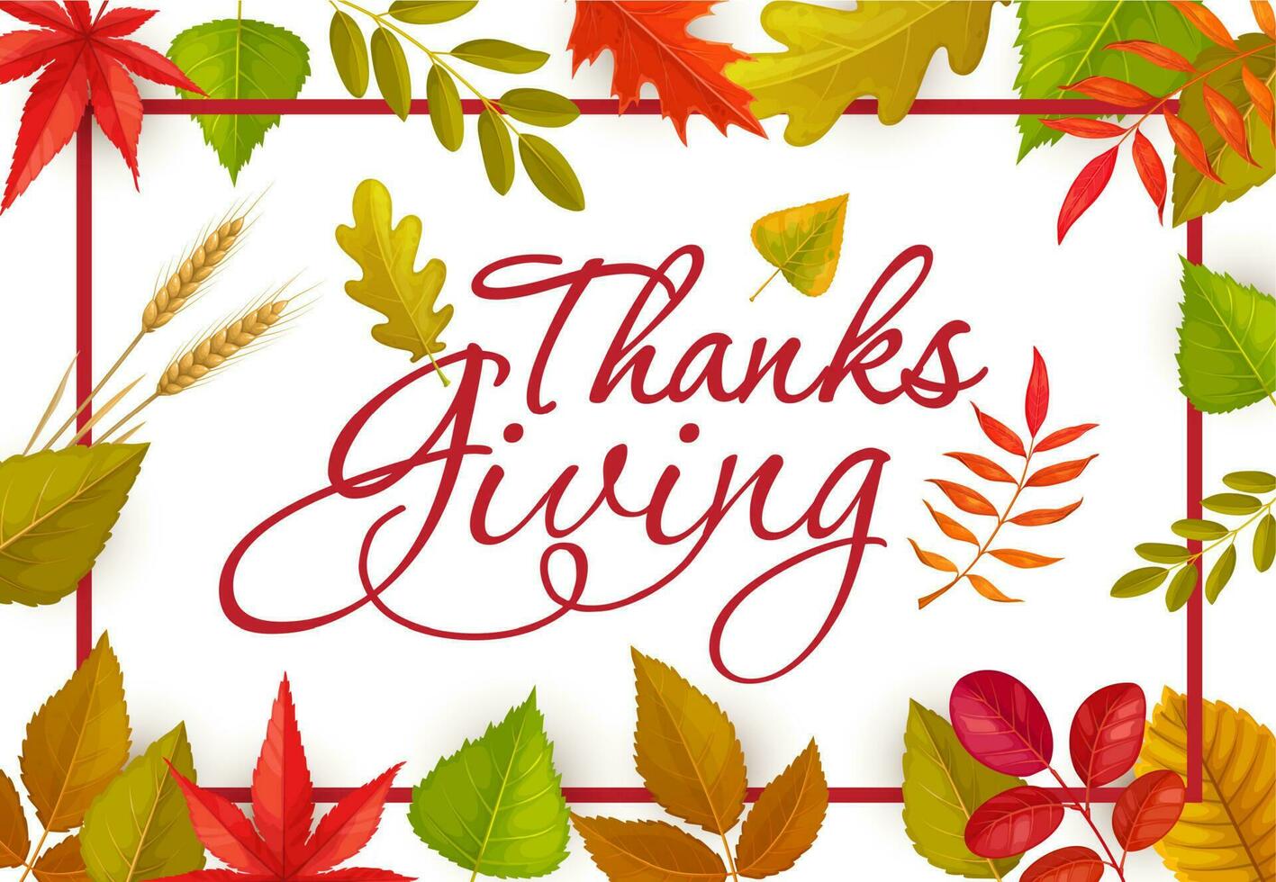 Thanks Giving greeting card with fallen leaves vector