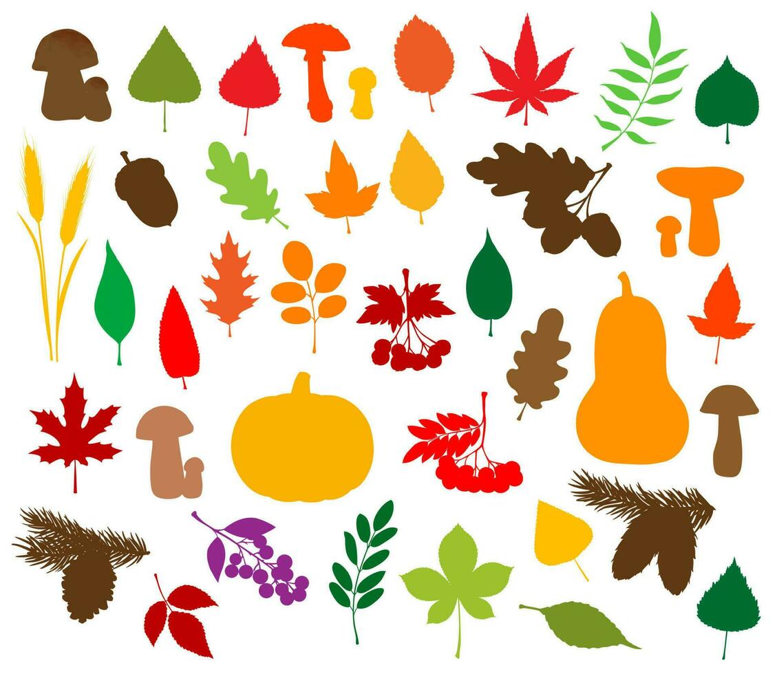 Autumn nature silhouettes, leaves, fruits, veggies vector