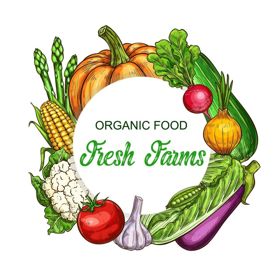 Organic farm vegetables and greenery vector frame