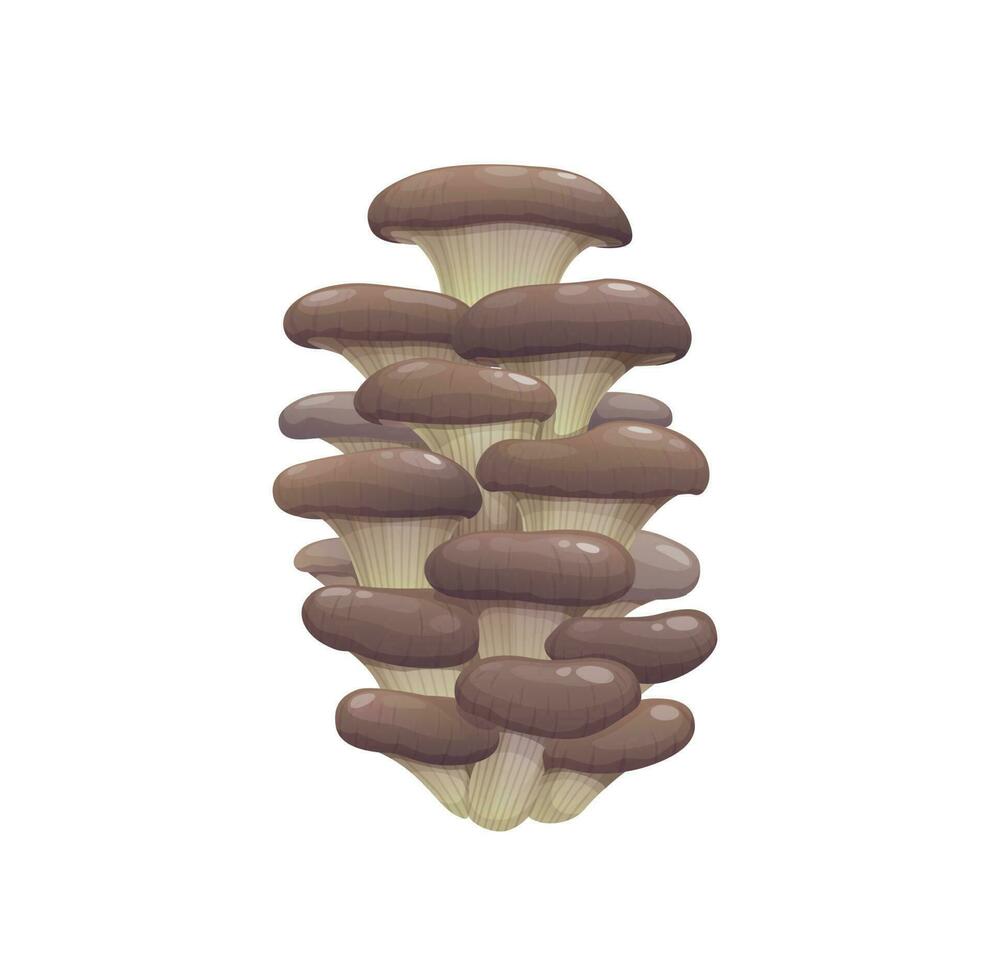 Raw isolated brown oyster mushrooms vector