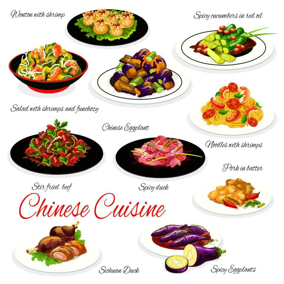chino comida platos, fideos, mariscos, vegetal vector