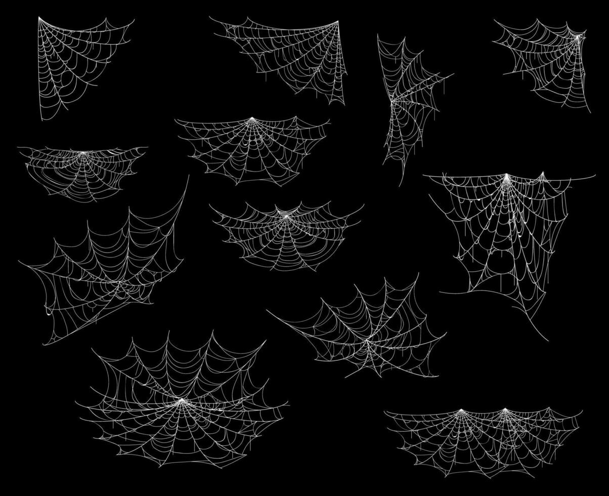 Cartoon spider web or cobweb, Halloween decoration vector