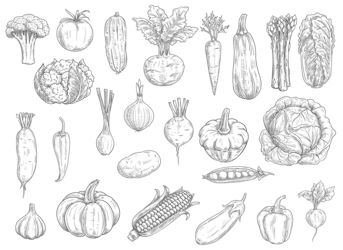 Farm vegetables vector sketches isolated icons