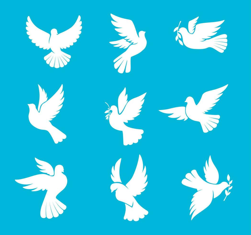 Christmas dove or wedding pigeon bird silhouettes vector