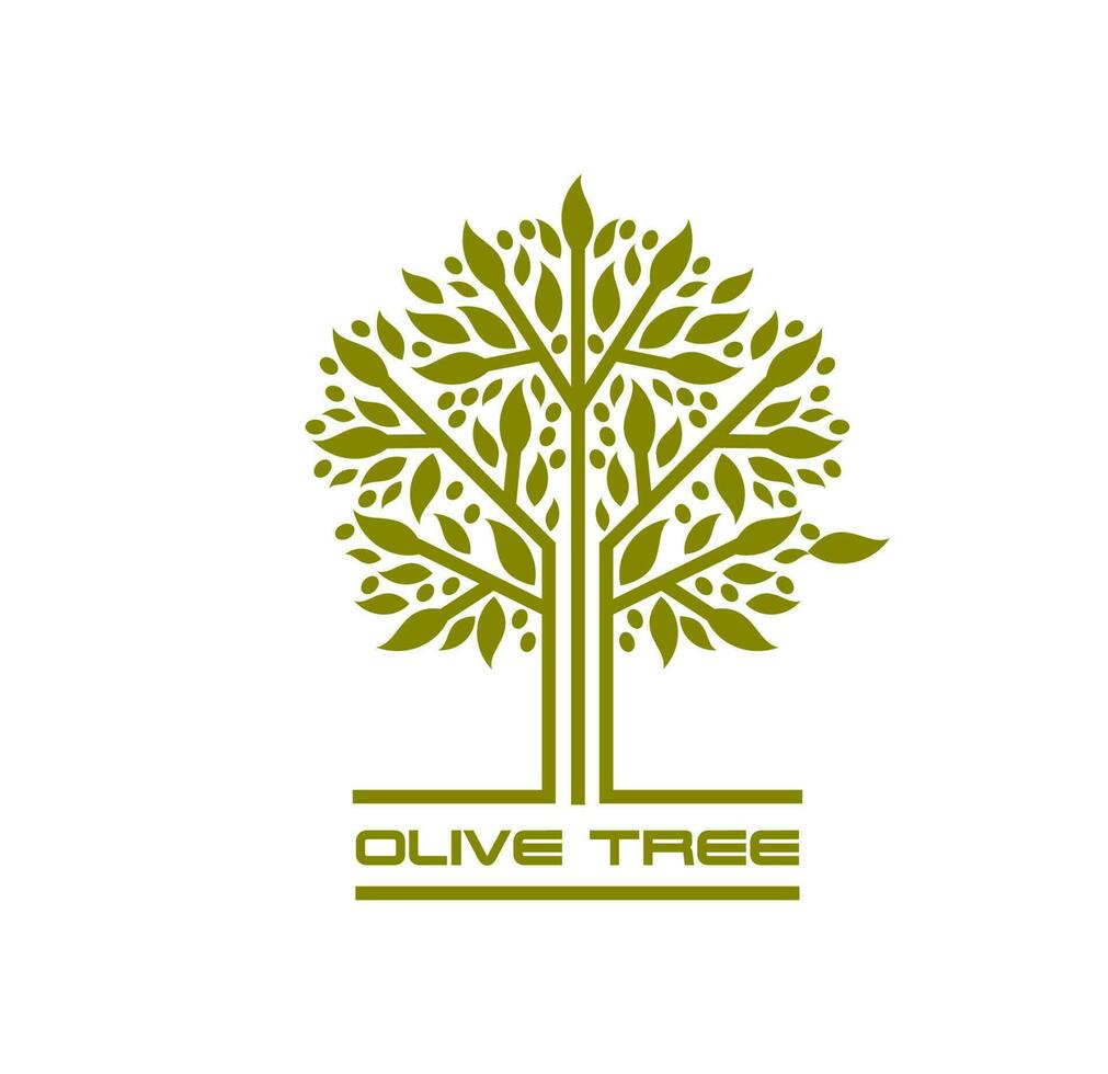 Olive tree, agriculture company icon or emblem vector