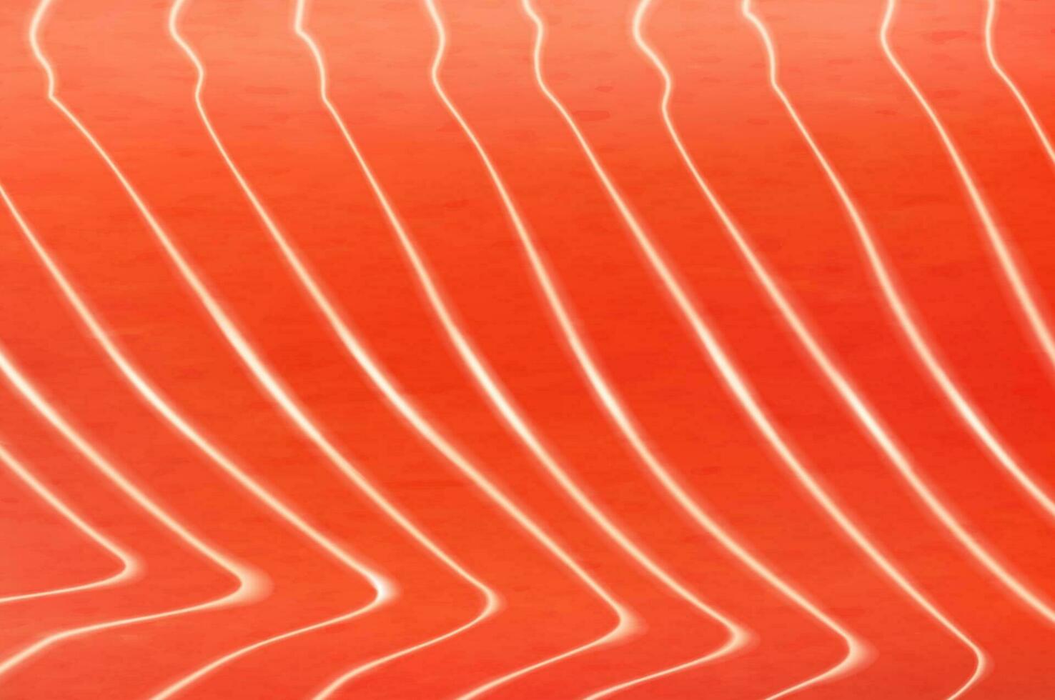 Salmon or trout fish fillet, steak vector texture
