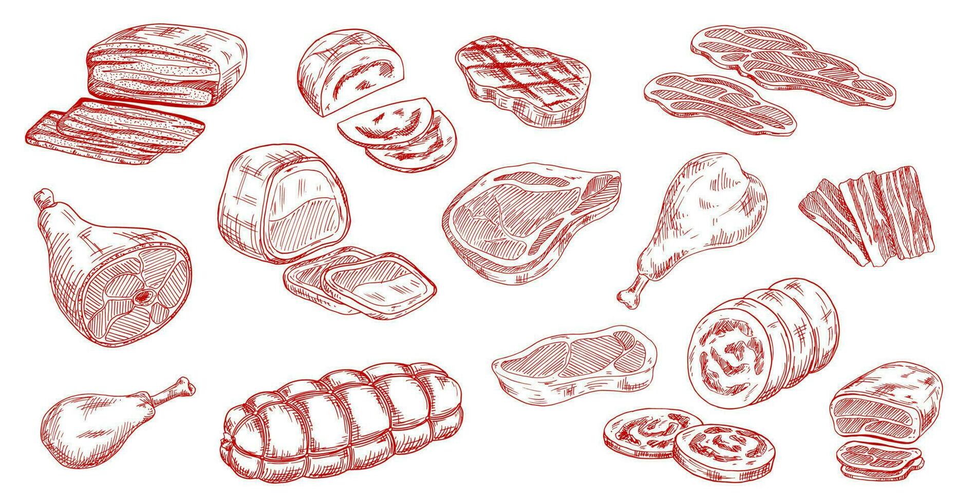 Pork sausage, veal ham and lamb meat sketch vector