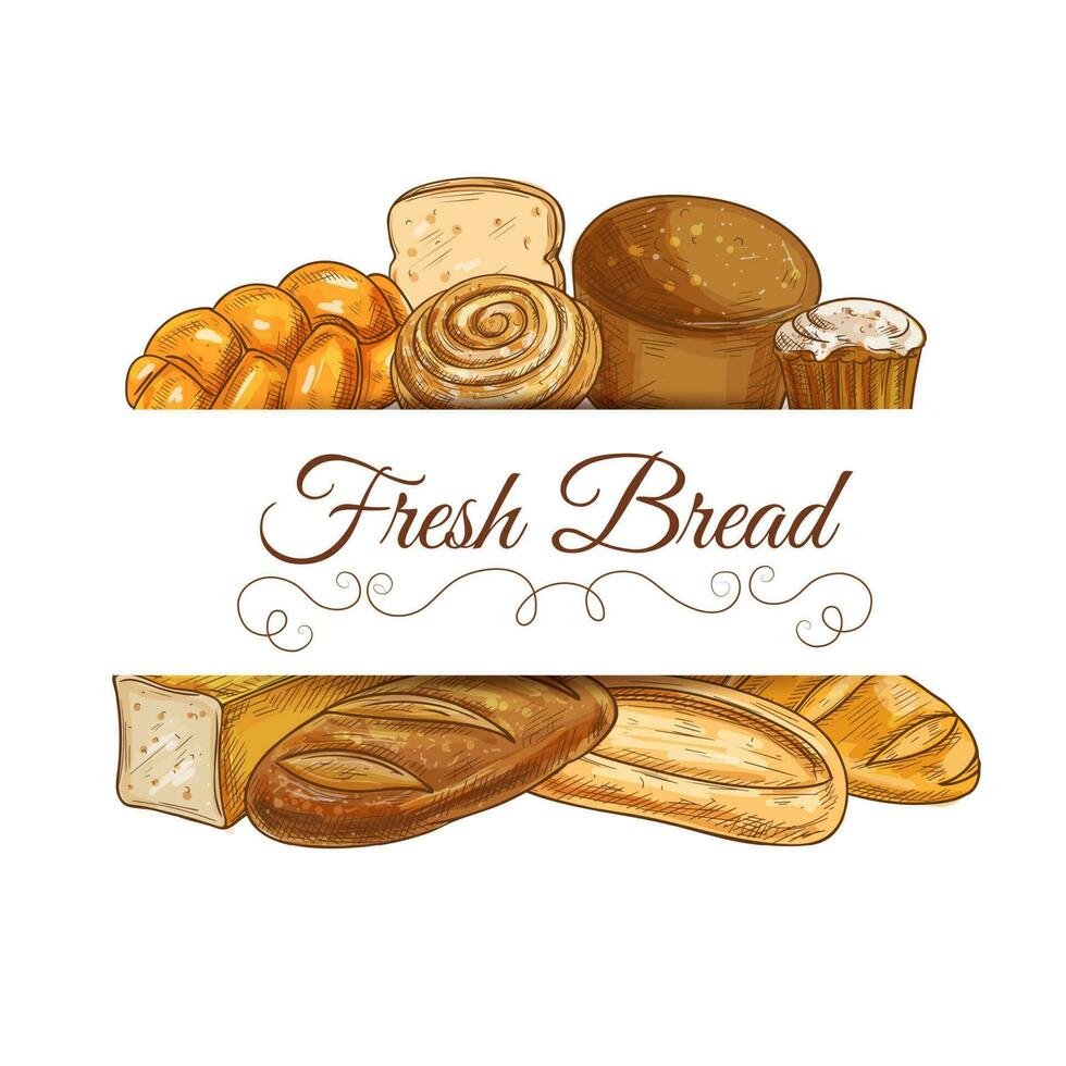 Fresh bread and pastry vector sketch frame, banner