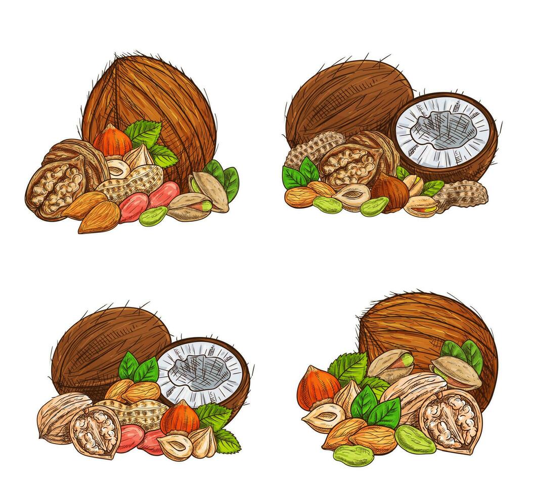 Nuts and seeds vector sketch natural ingredients