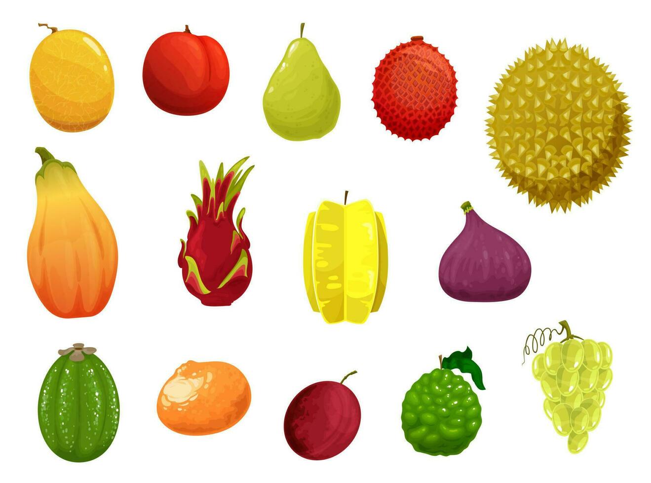 Fruits vector icons exotic tropical production set