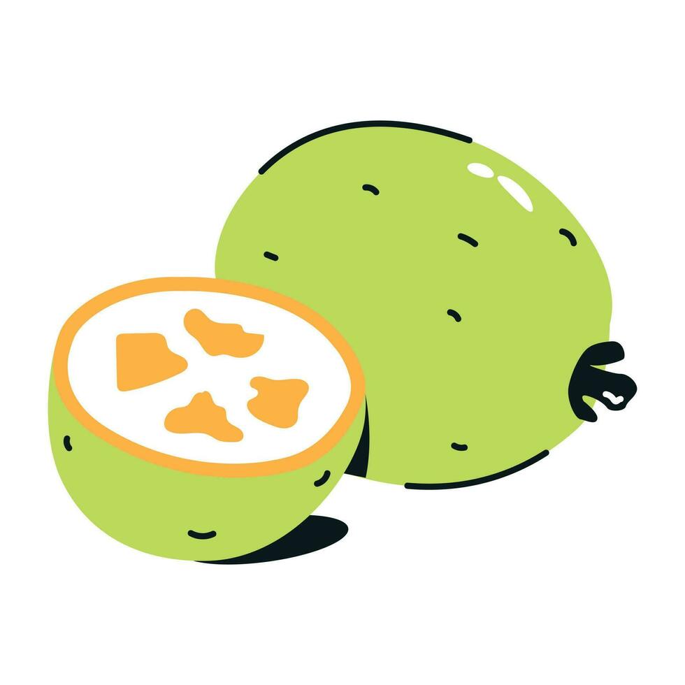 Colourful flat icon of guava vector