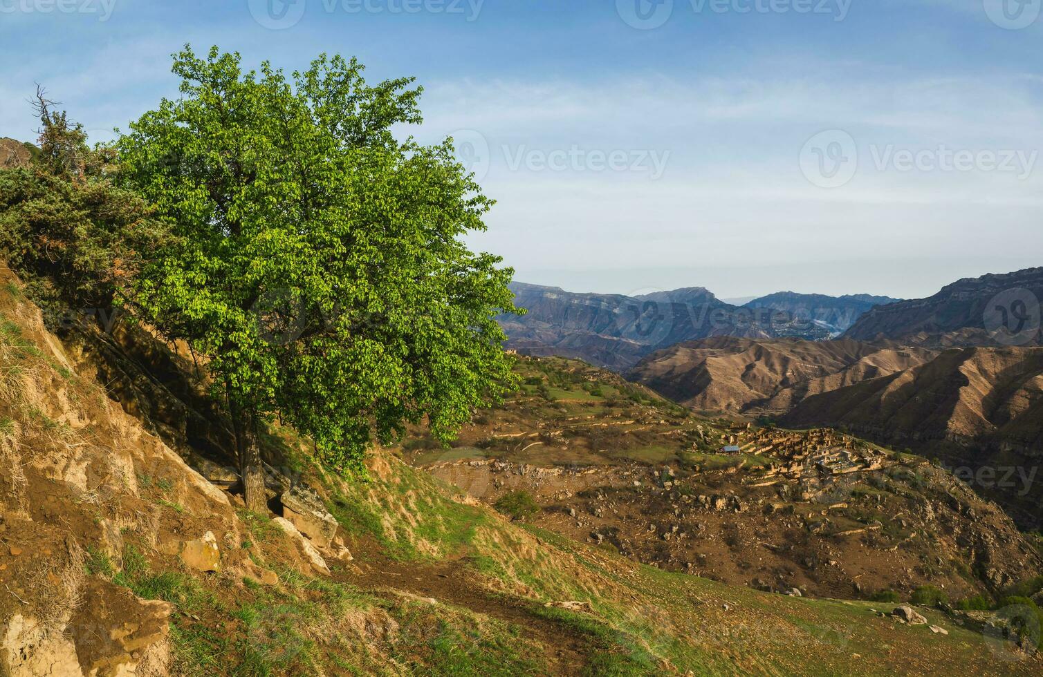 A green tree on the slope. Old village in the gorge, high mountains in the background. photo