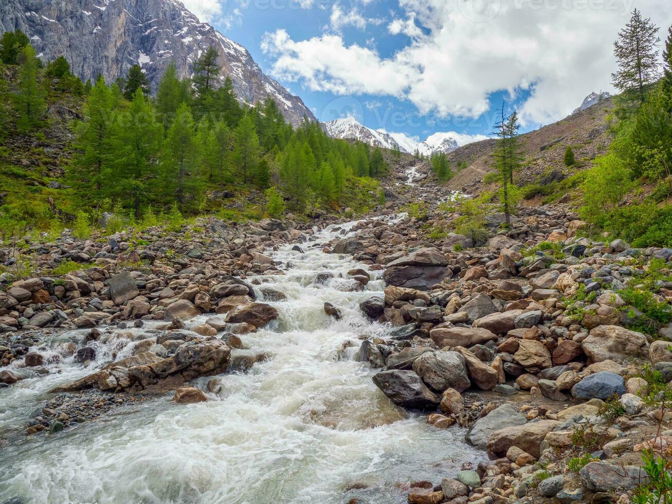 Mountain river flow through forest. Beautiful alpine landscape with azure water in fast river. Power majestic nature of highlands. photo