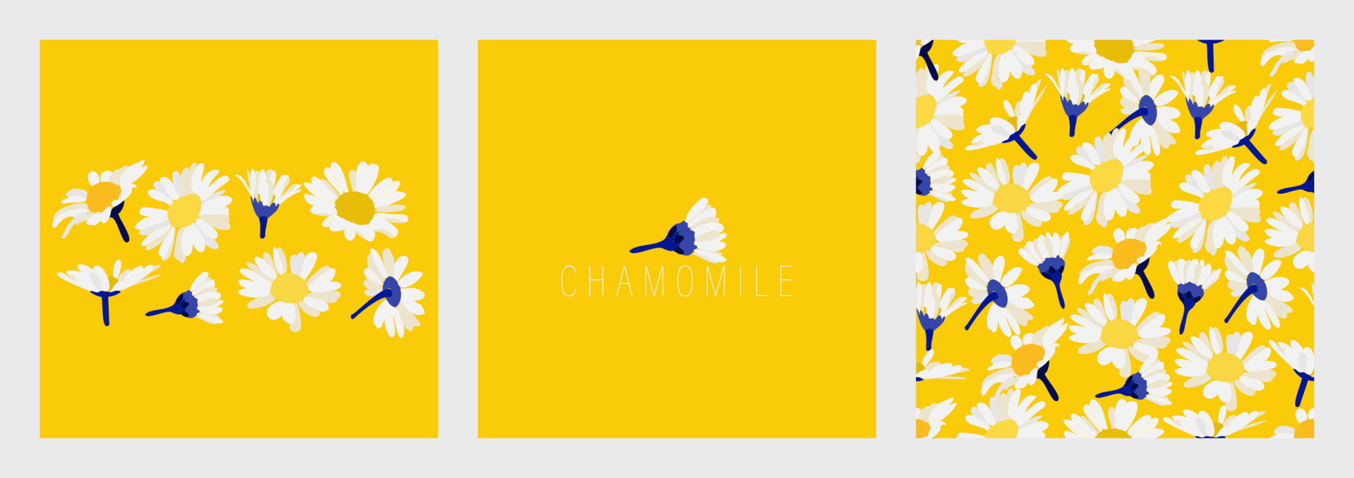 Set of decorative floral elements. Chamomile on a yellow background