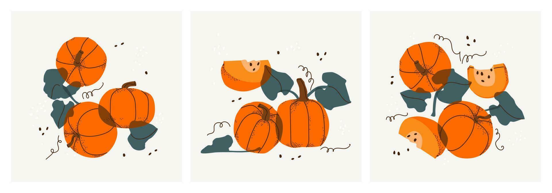 Set of decorative still lifes with bright orange pumpkins. Hand drawing slices, twigs and leaves, vegetable fruits. Ideal for print, posters, postcards, design creation. Vector trendy triptych.