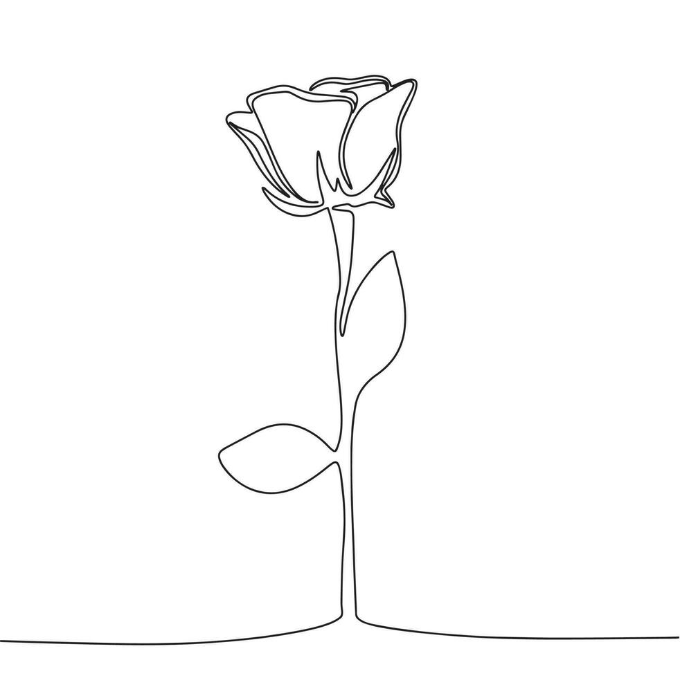 Hand drawn rose isolated on white background. One line continuous rose. Line art flower. Outline, vector illustration.