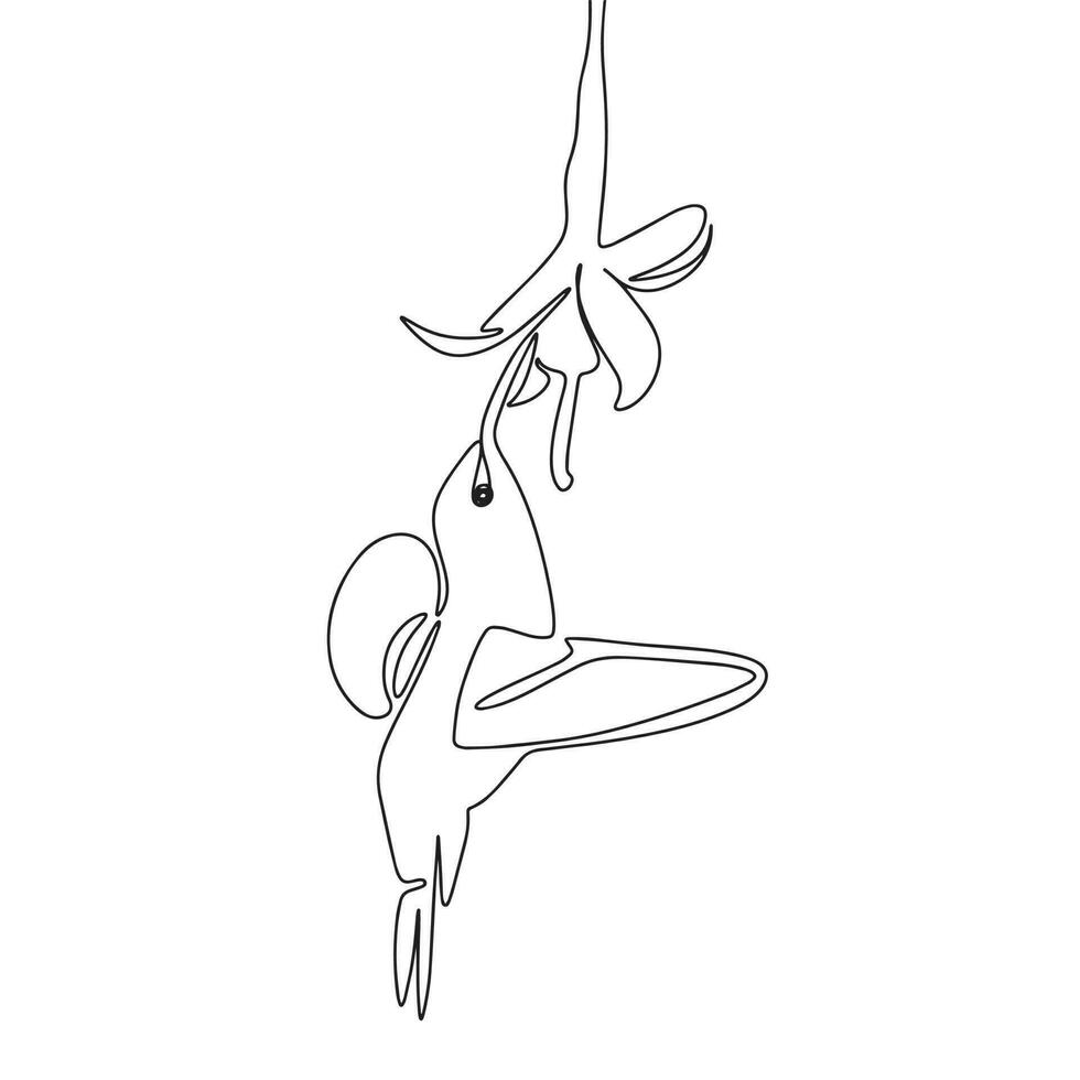Hummingbird with flower as one line drawing banner. Continuous hand drawn minimalist minimalism design isolated on white background vector illustration.