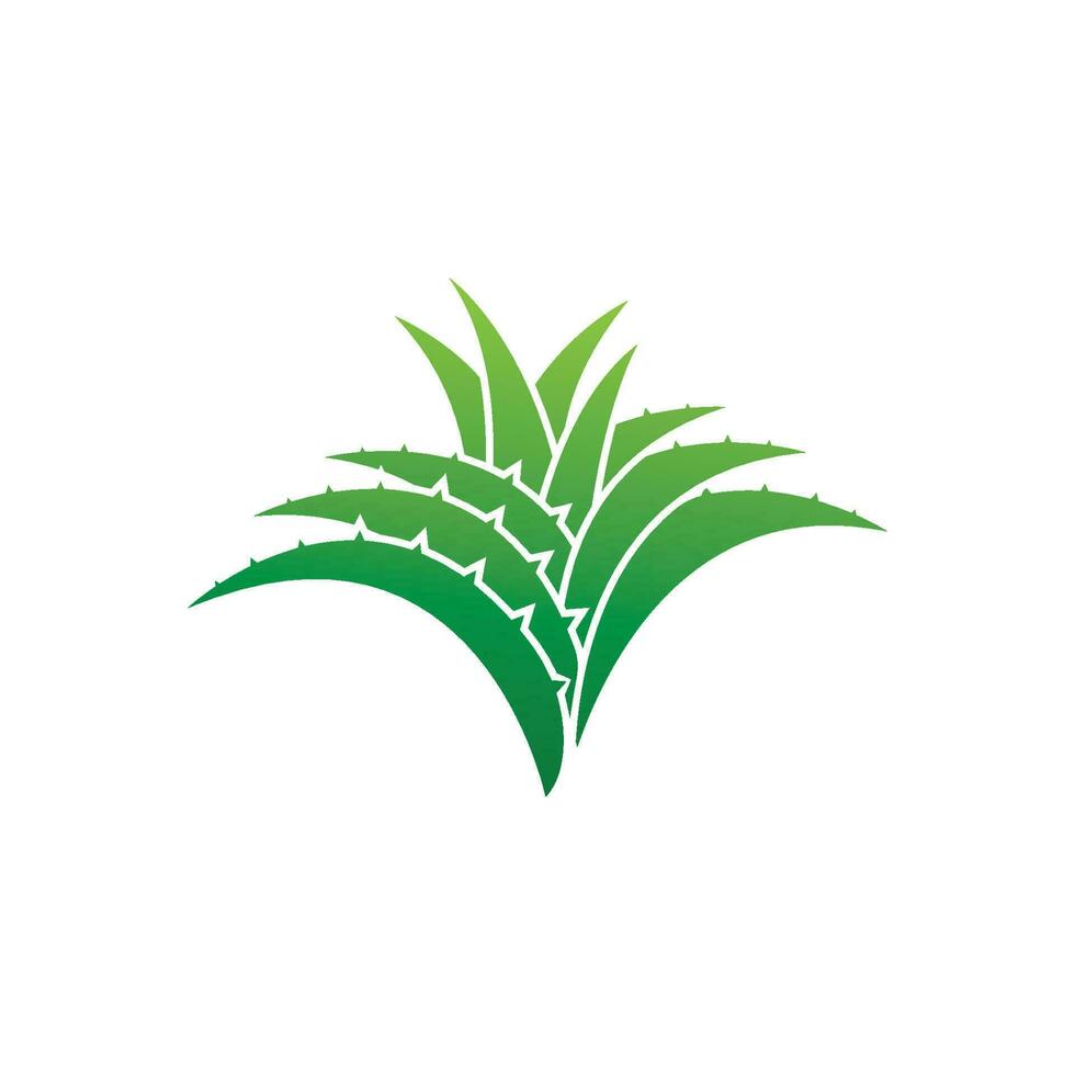 Aloe Vera logo icon design symbol beauty vector