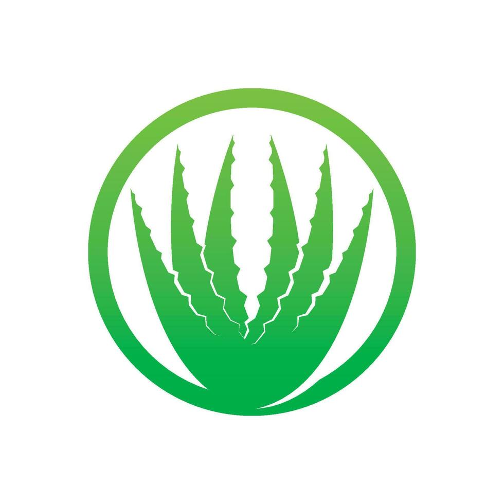 Aloe Vera logo icon design symbol beauty vector