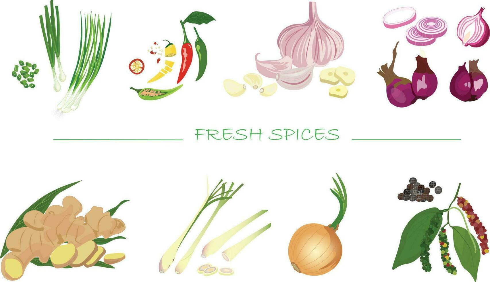 Thai red onion or Shallots. Fresh purple shallots on white background.  Selected focus. Concept of spices in healthy cooking 9629788 Stock Photo at  Vecteezy