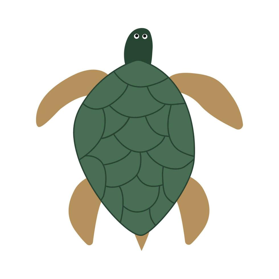 Vector flat style turtle illustration