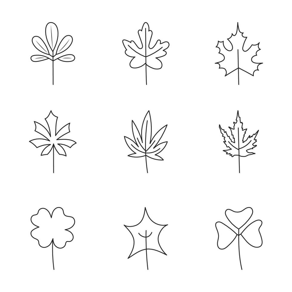 minimalista hoja recopilación. mano dibujado rama, hojas hierbas y salvaje plantas conjunto en línea estilo.3 vector
