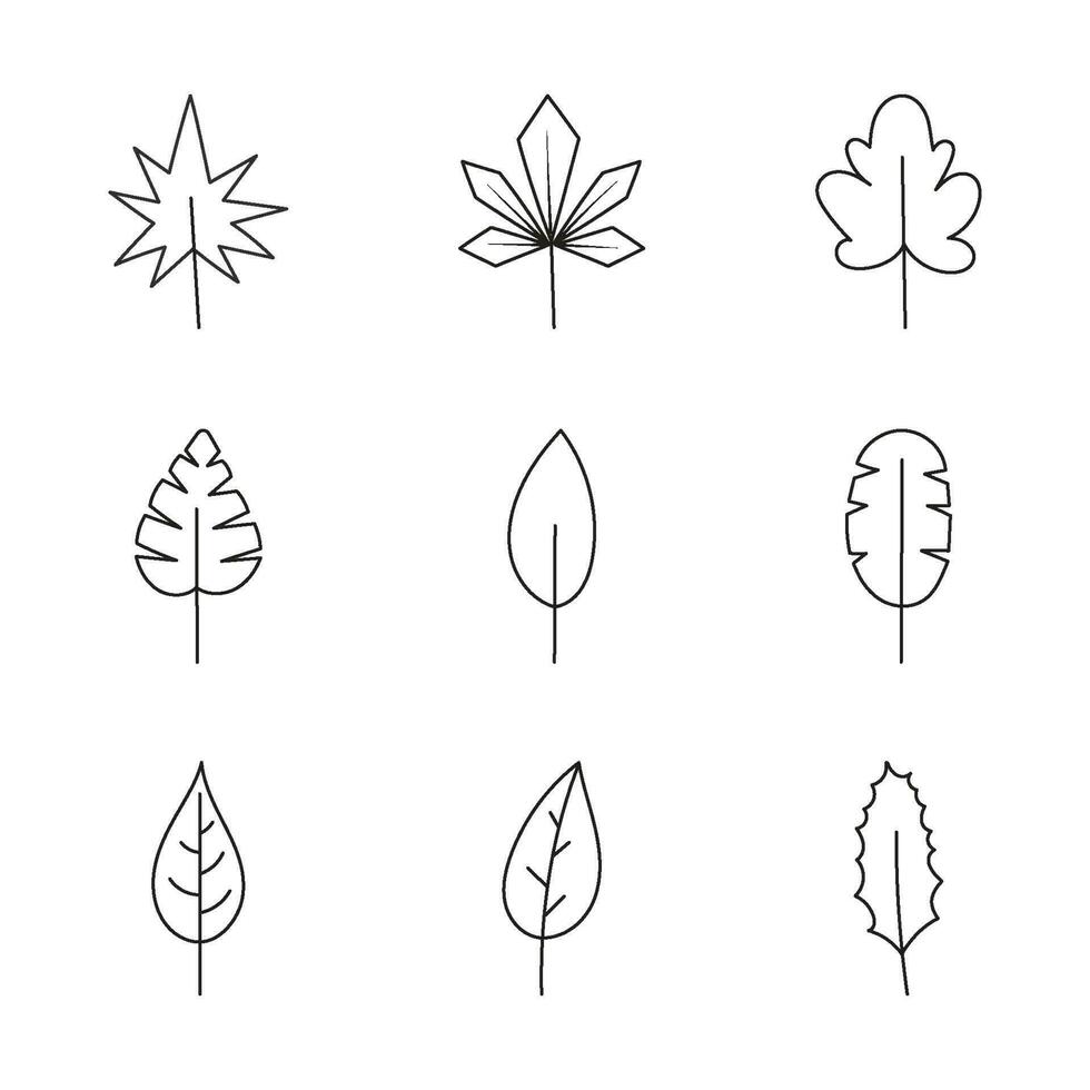 minimalista hoja recopilación. mano dibujado rama, hojas hierbas y salvaje plantas conjunto en línea estilo.2 vector