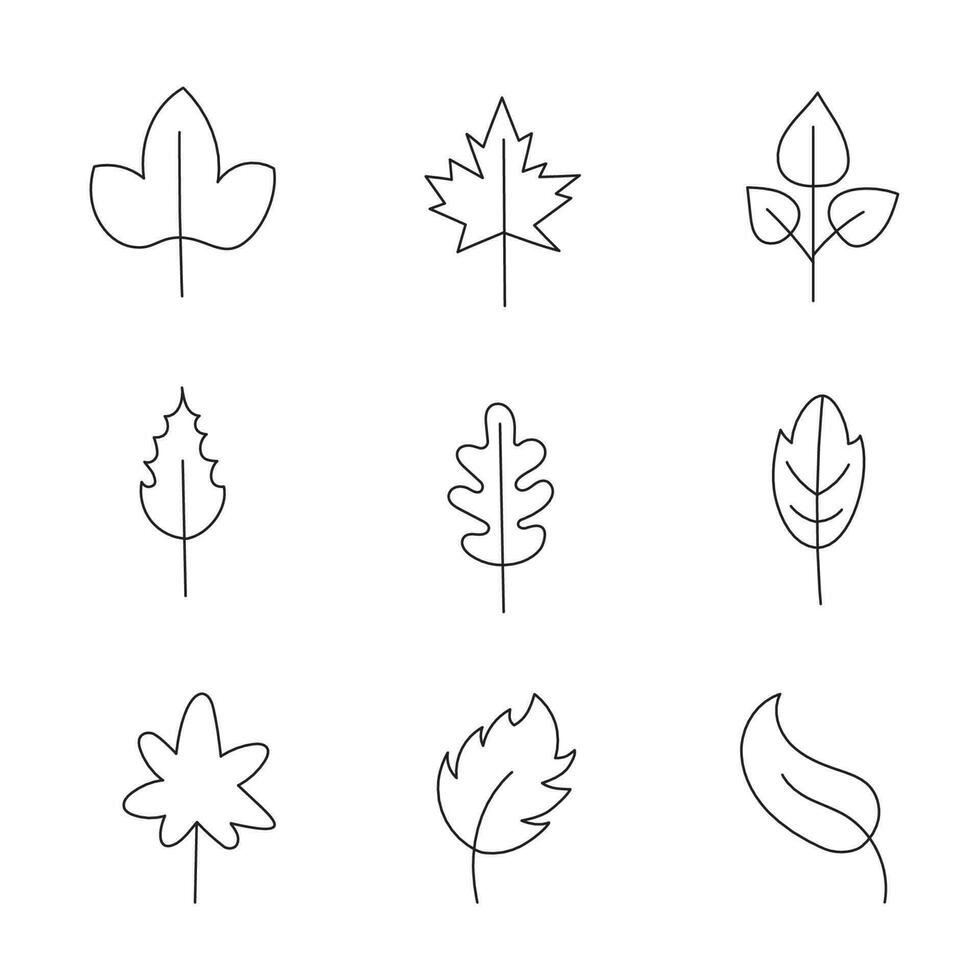 minimalista hoja recopilación. mano dibujado rama, hojas hierbas y salvaje plantas conjunto en línea estilo. vector