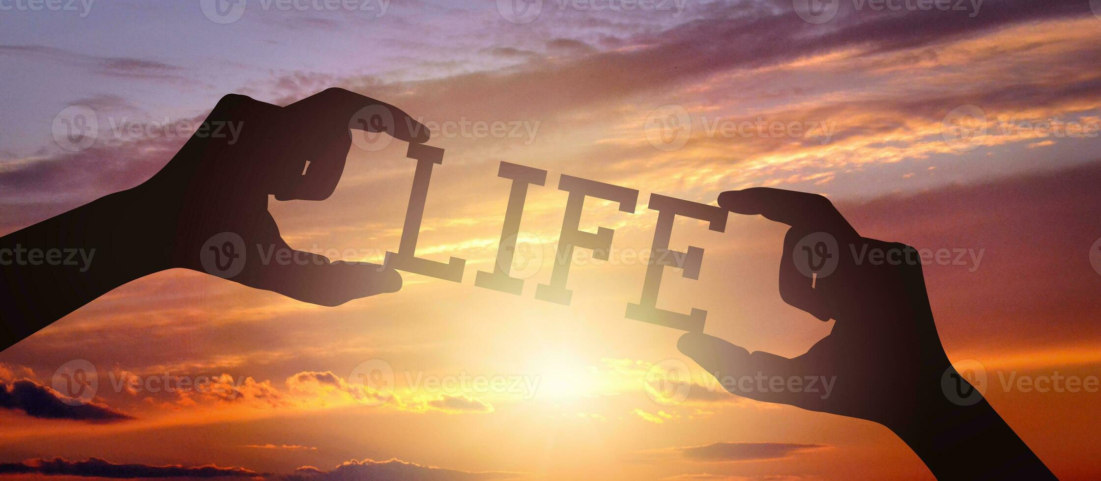 Life - Human Hands Holding Black Silhouette Word photo