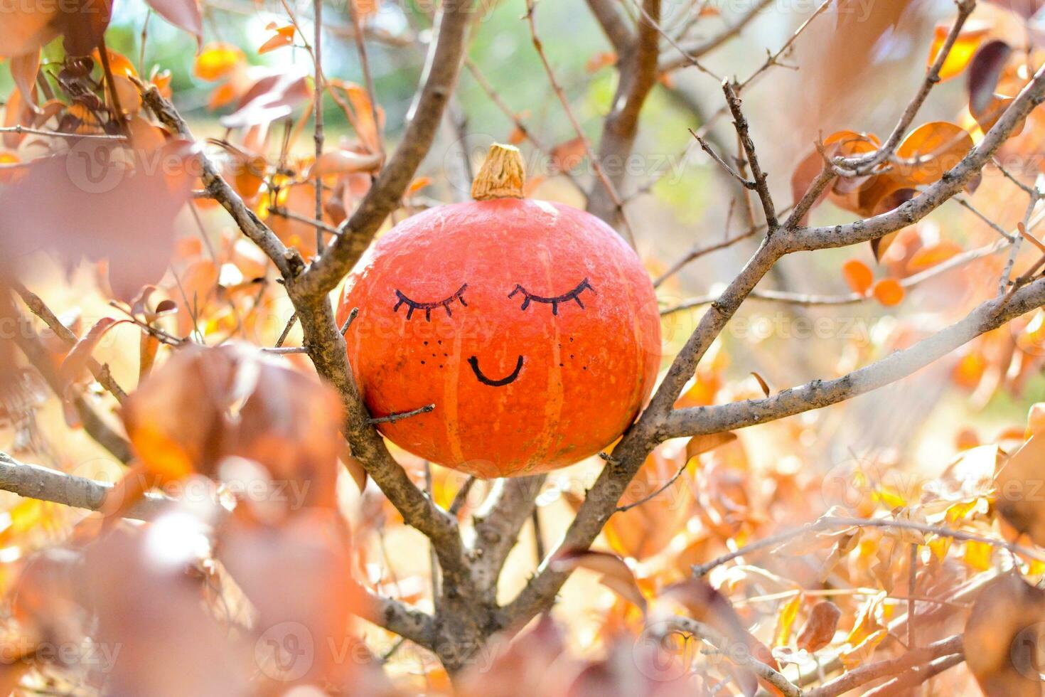 Halloween party. Halloween pumpkin. Halloween is held in autumn, in October photo