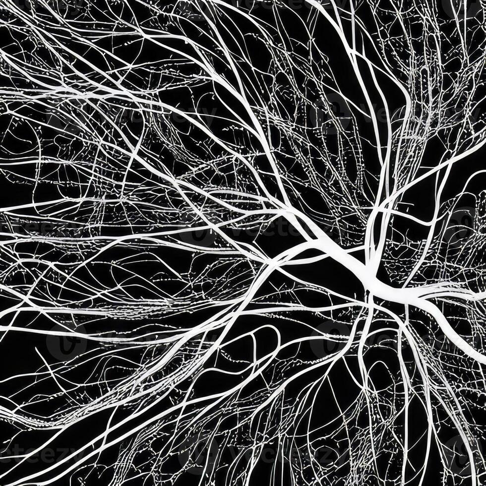 Neuron cell network model. photo