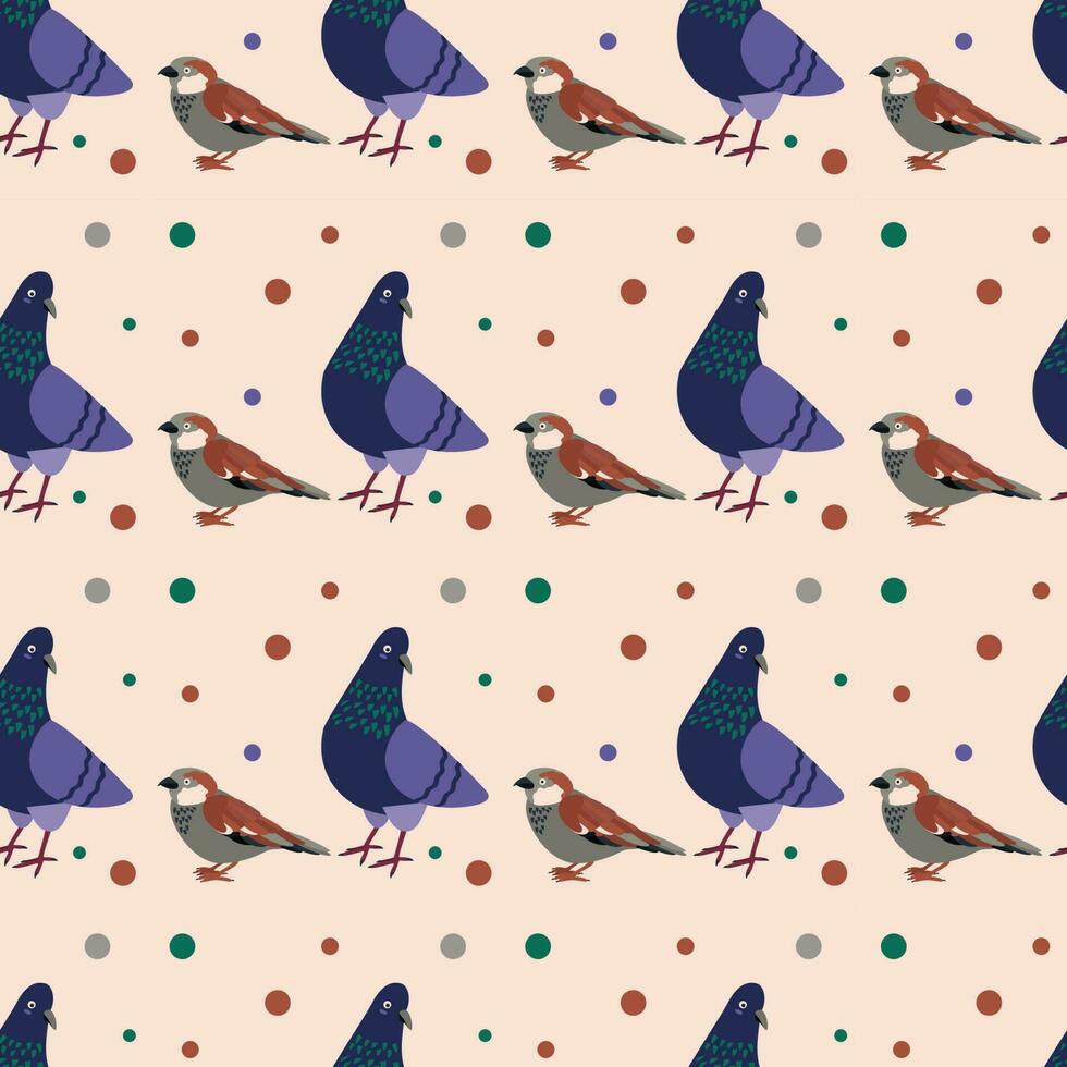 Pattern with sparrow, dove, pigeon bird. vector