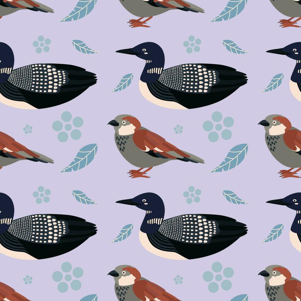 Pattern with sparrow, loon bird. vector