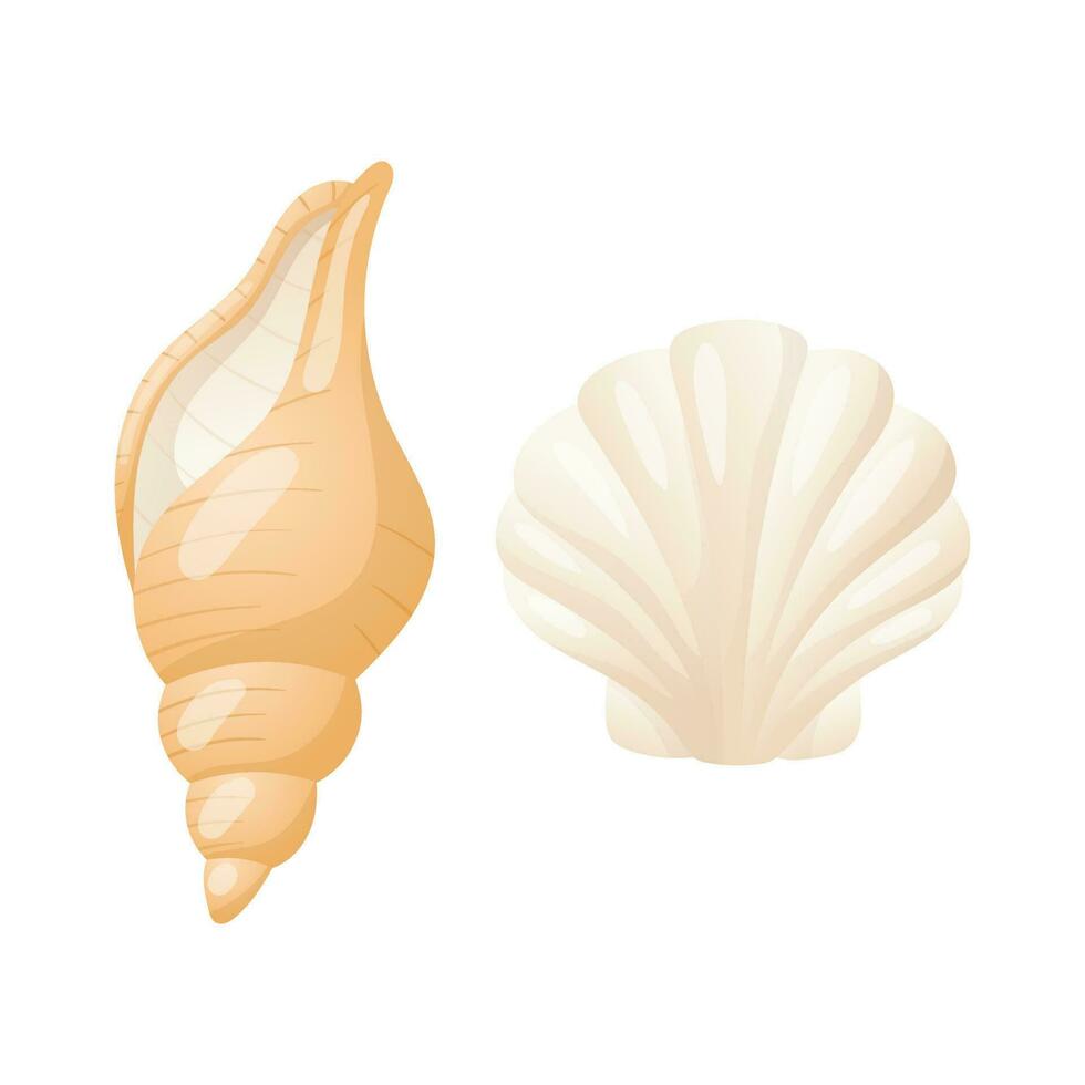 Vector isolated illustration on white background. Set of two realistic seashells. Shell with pearls and clam. An element of design on the theme of marine life and summer vacations.