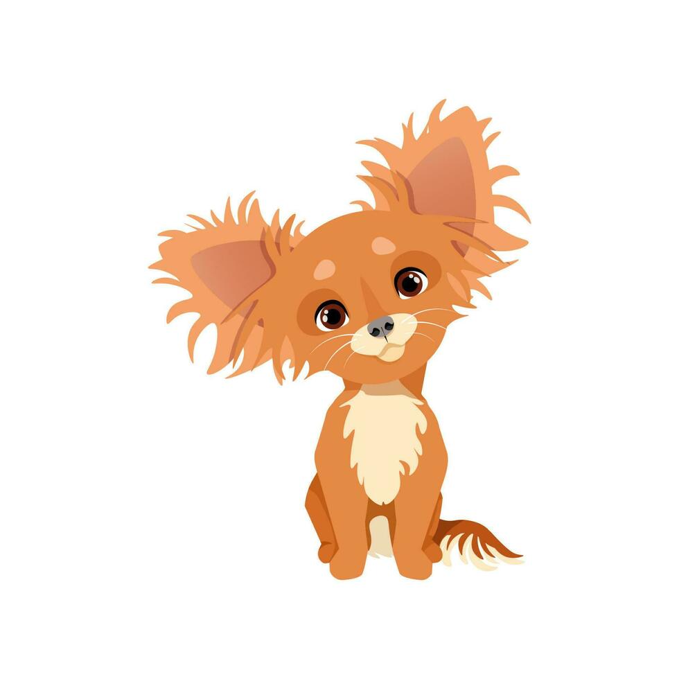 Cute little brown chihuahua dog vector