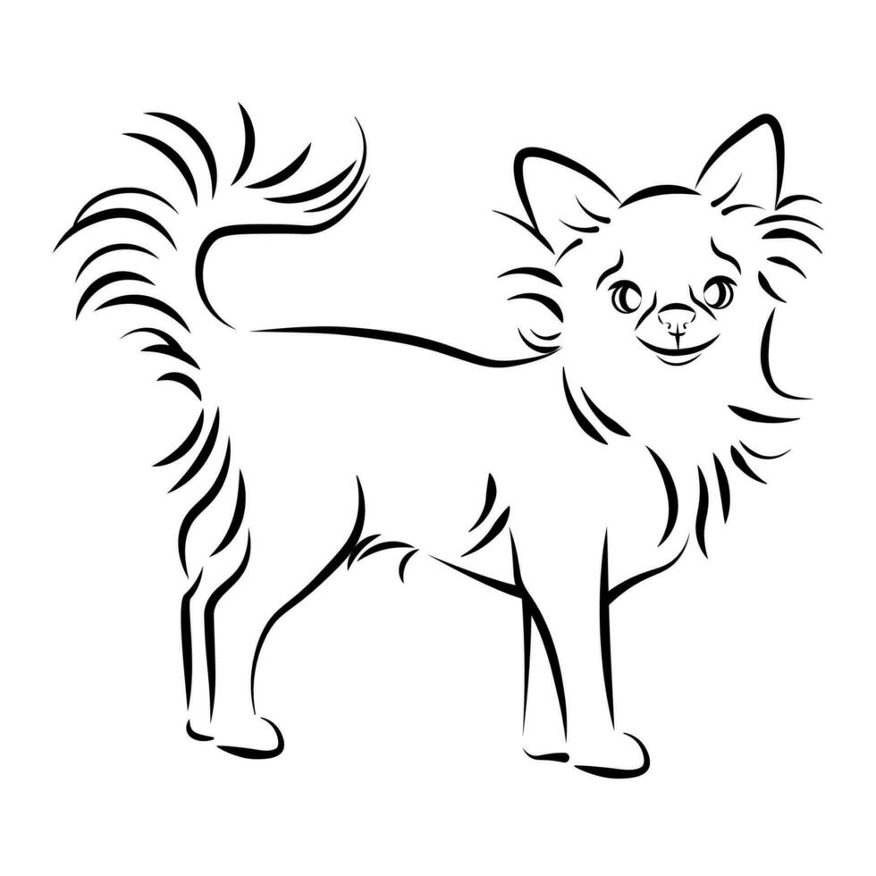 Chihuahua breed dog in black lines vector