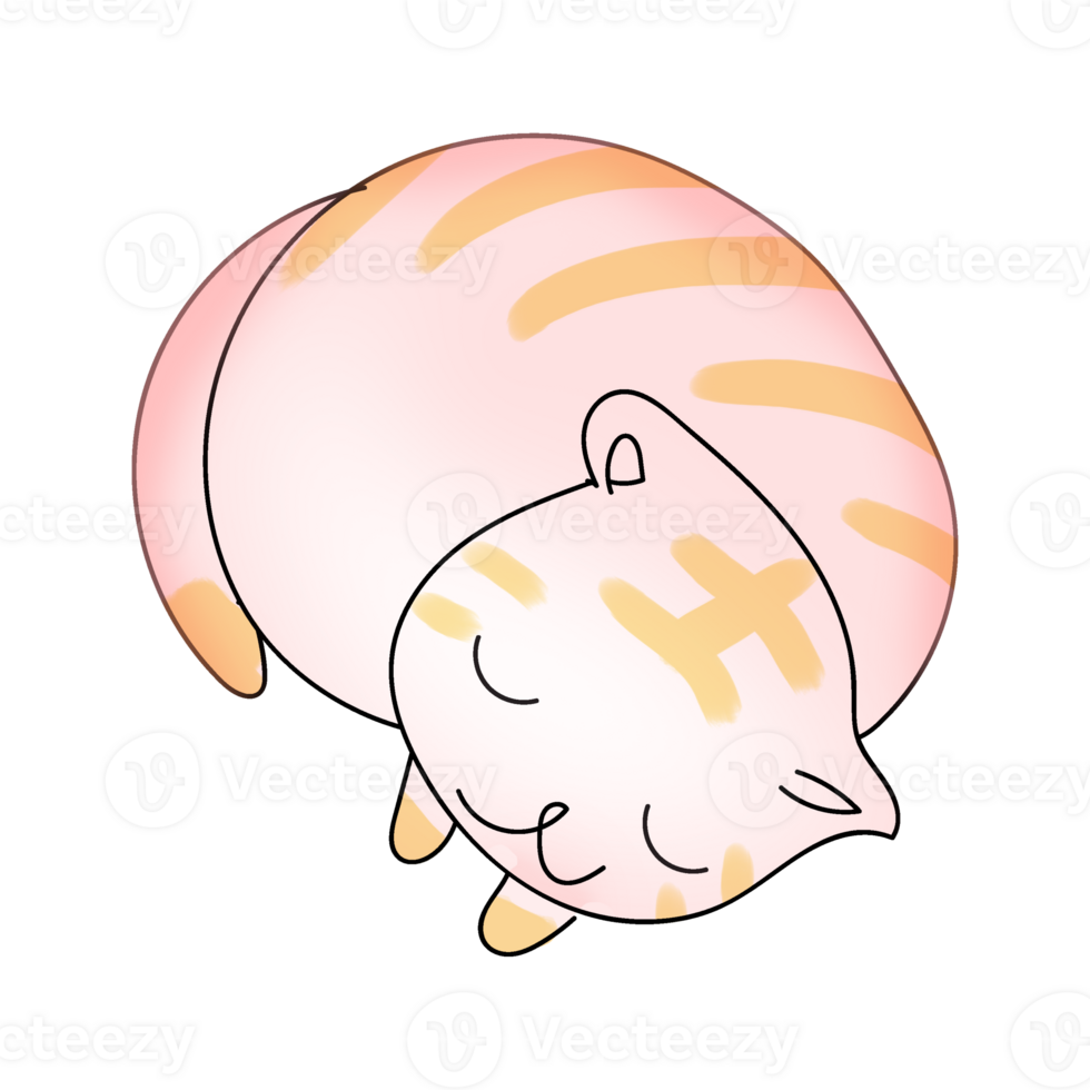 doodle hand dawn cute sweet striped cat png