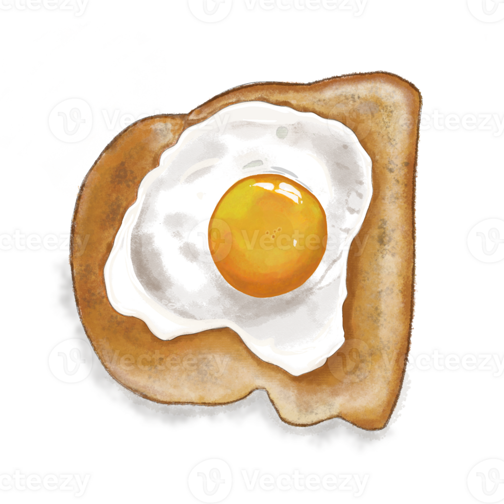 A delicious fried eggs on toast. This is a painting png picture. You can use it decorate for food project or use for breakfast menu.