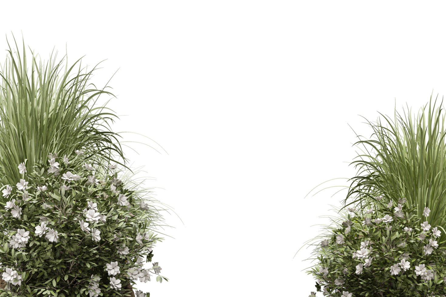 tropical tree isolated and bush for decoration png
