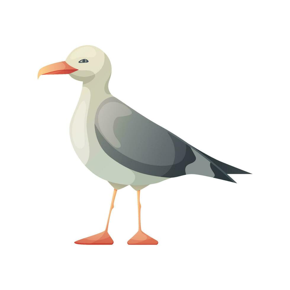 Seagull bird. Resting curious standing sea bird. Vector illustration isolated on white.