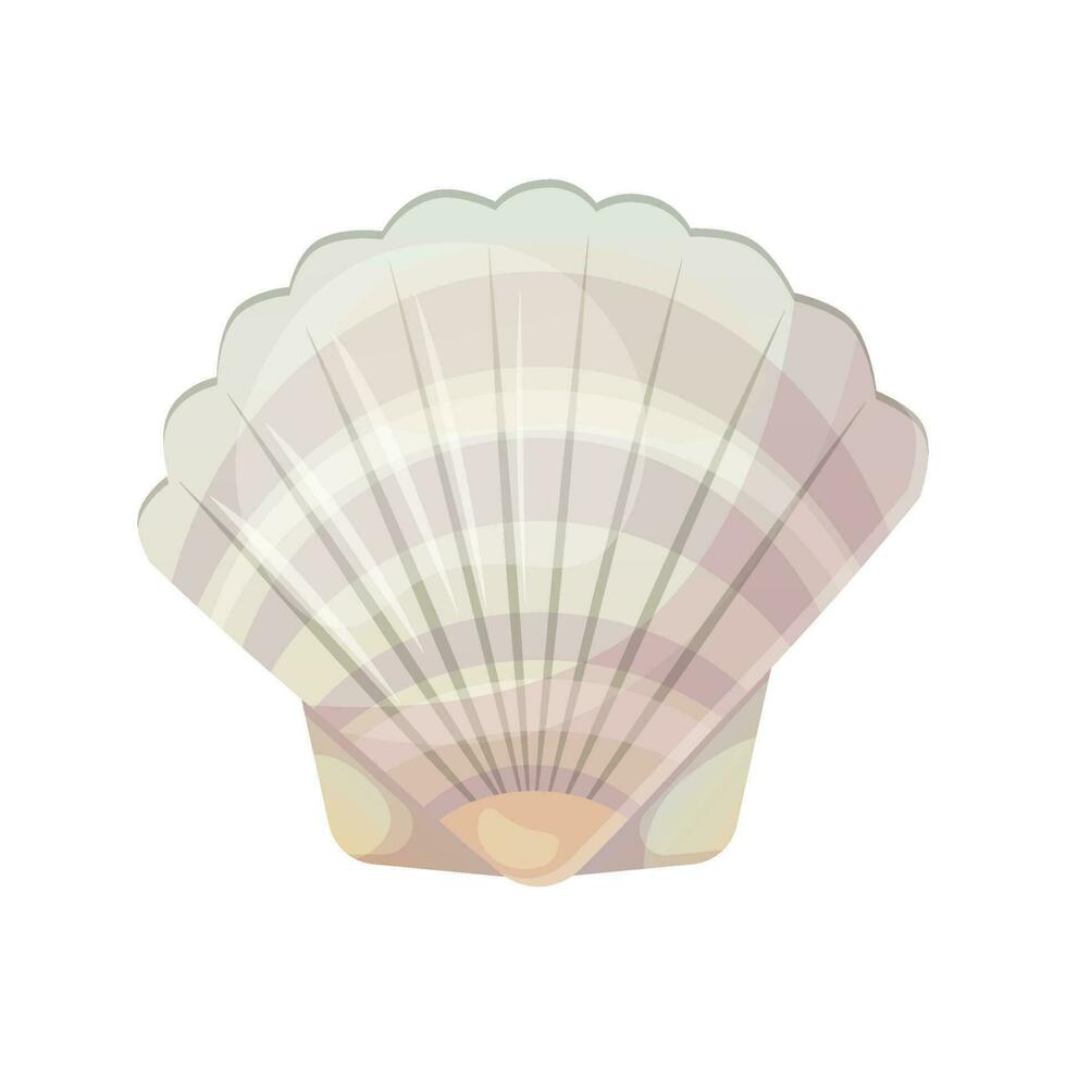 Colorful tropical shell.Summer concept in cartoon style. Vector illustration isolated on white.