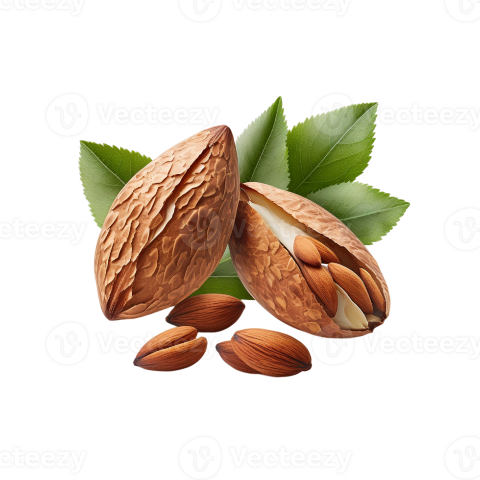 Almonds with leaves isolated . png