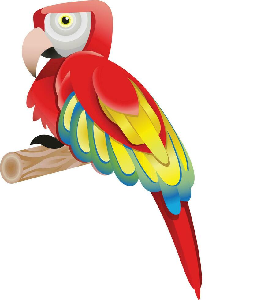 little cute parrot sits on tree branch vector