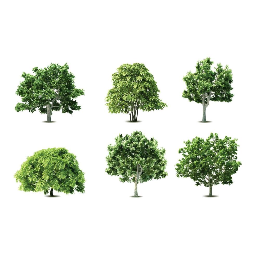 set of  green trees vector illustration
