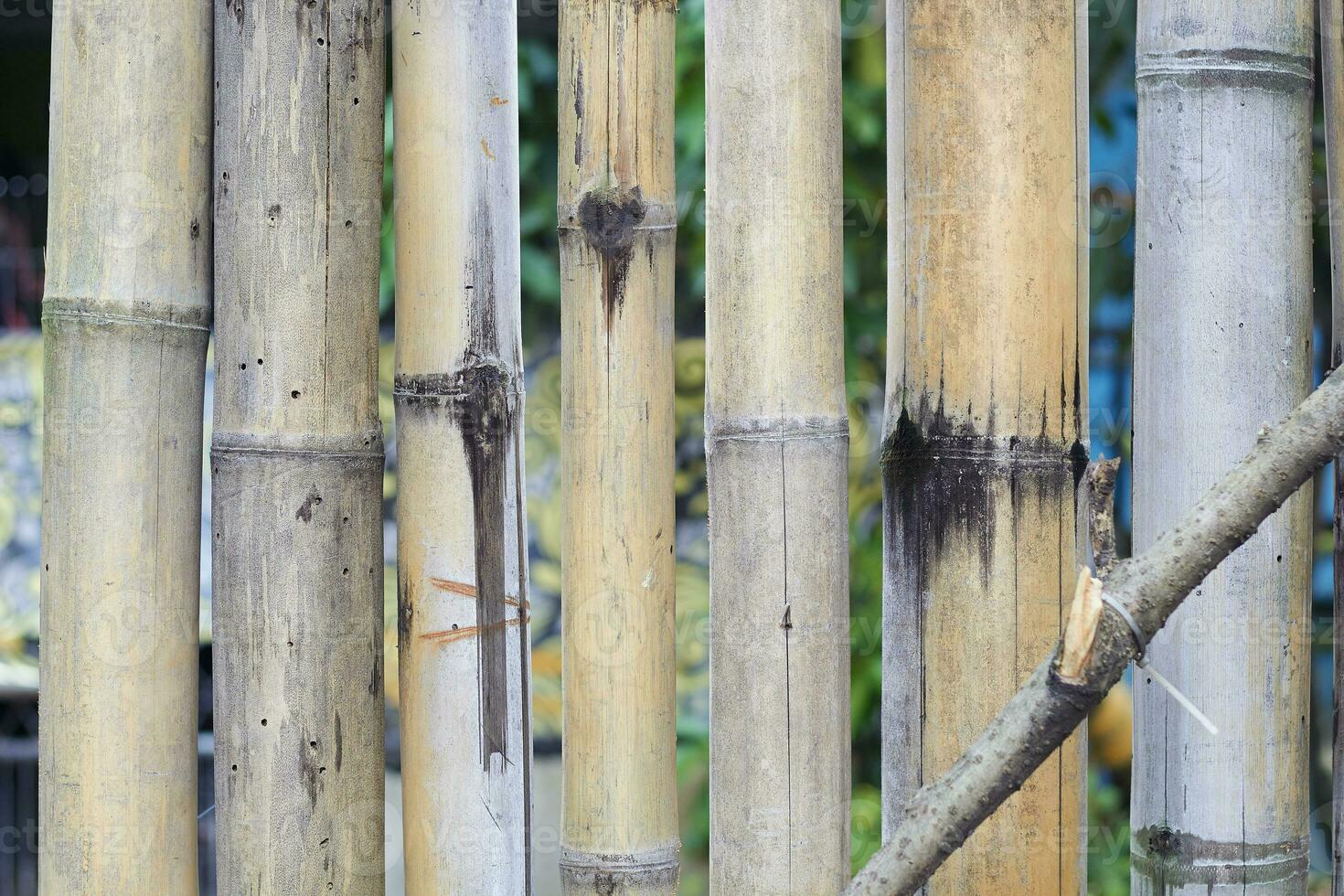 pattern of traditional fence made of colorful bamboo wood photo