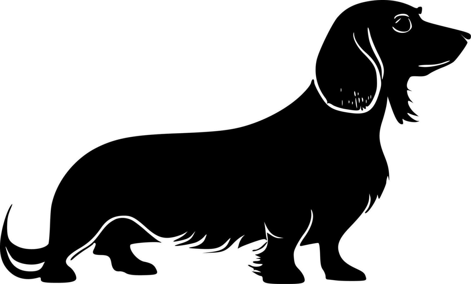 Dachshund, Black and White Vector illustration